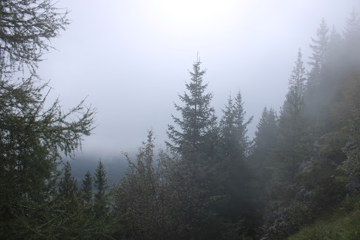 Falkensteinerweg - Visual