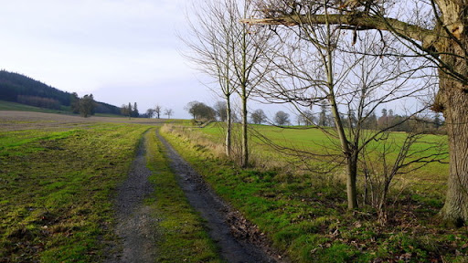 Garnstone Park - Thumbnail