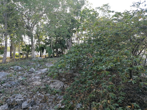 kusamil Park - Thumbnail