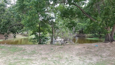 Photos of Nivasie Pura Pond