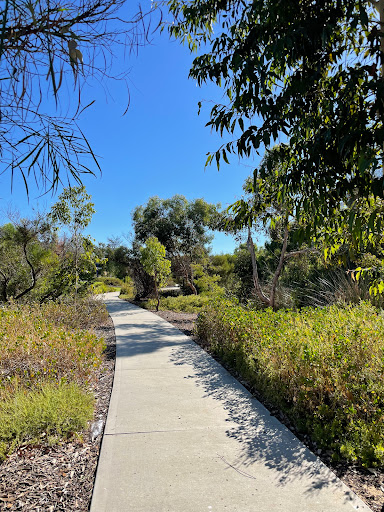 SW parkrun - Thumbnail