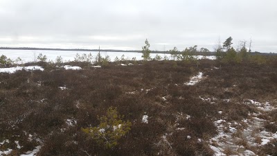 Photos of T&auml;navj&auml;rv