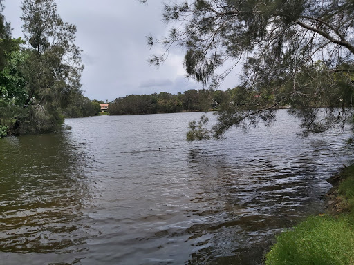 Kuring Gai Park - Thumbnail