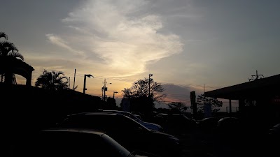 Photos of Vindi