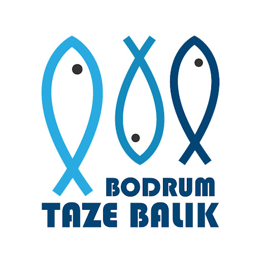 Bodrum Taze Balık