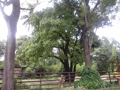 Photos of Palugaswewa