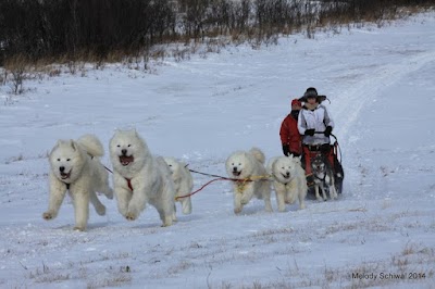 Golden Valley Veterinary Clinic