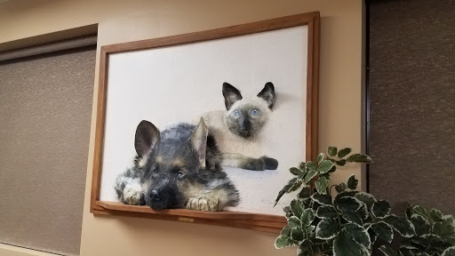Veterinary Emergency & Specialty Center of Northern Arizona - Thumbnail