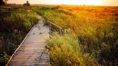 Baker University Wetlands