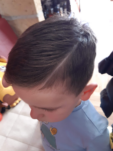 Barber32 - Visual
