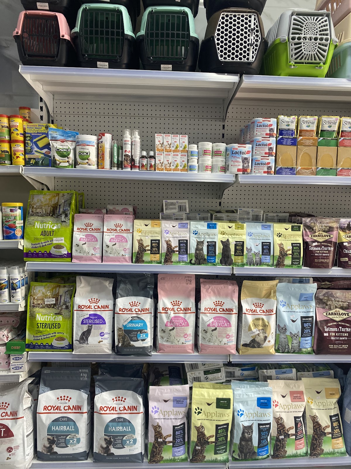 الكائنات اللطيفة - صورة 2