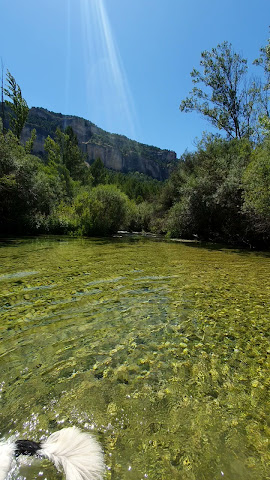 La Serradora by null