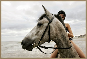 Photo n°22 de Centre équestre du Mesnil d'Argences à Argences (Centre équestre)