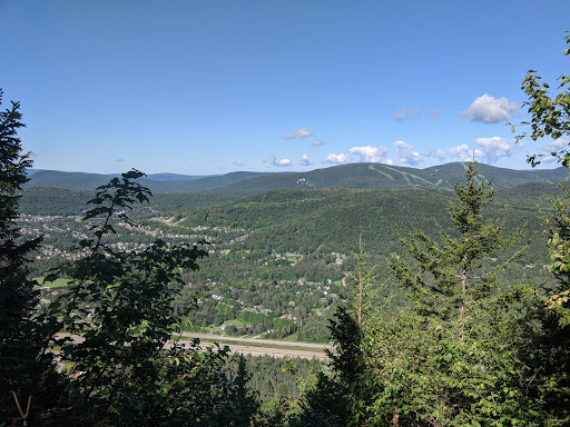 Mount Wright Ancient Forest Park - Visual