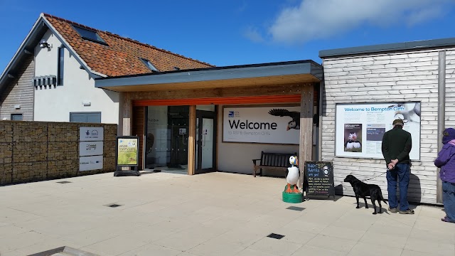 RSPB Bempton Cliffs