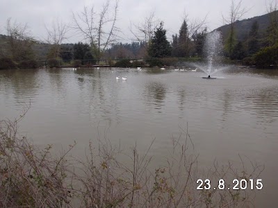 Cemetery