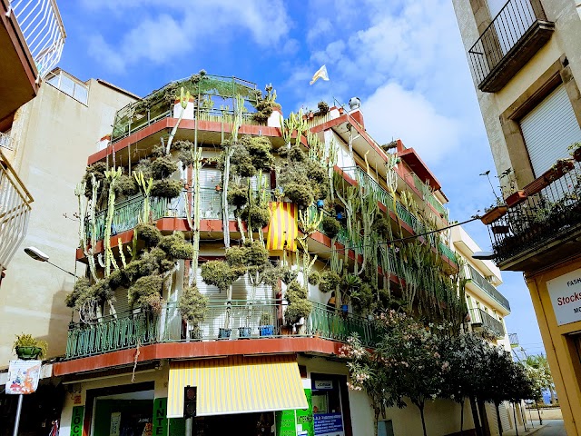 Luna Gaucha