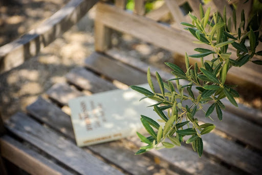 Photo de ENTRAIDE Le Mas de Sarret à Saint-Rémy-de-Provence (13210)