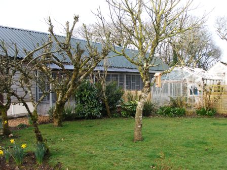 Moor Park Boarding Cattery - Thumbnail