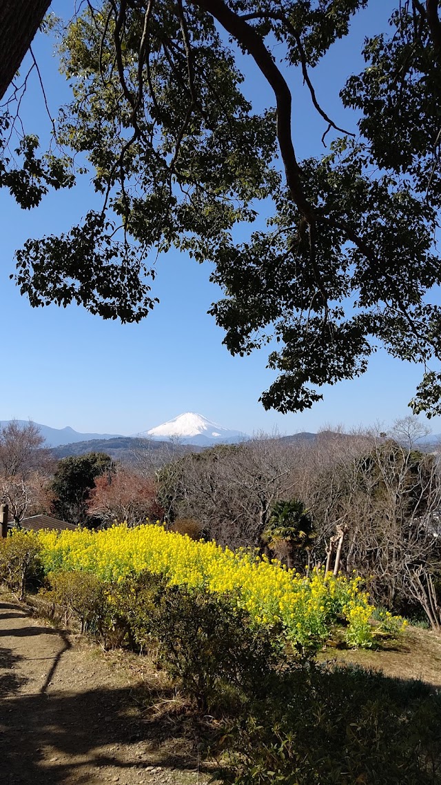 Azumayama Park