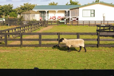 Photos of Kerry Lane Motel