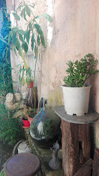 Photo n°8 de LE GÎTE DES Z'UNS POSSIBLE à Chamesson (Gîte)