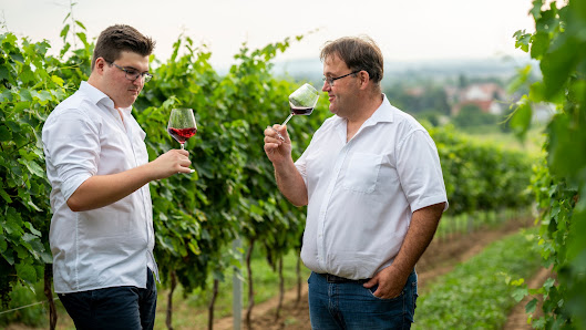 Weingut Schruiff Hauptstraße 67, 7064 Gemeinde Oslip, Österreich