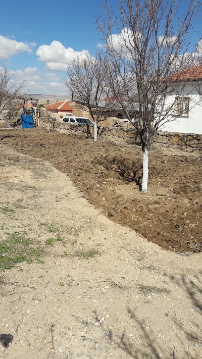 Photos of Ecdat Parkı
