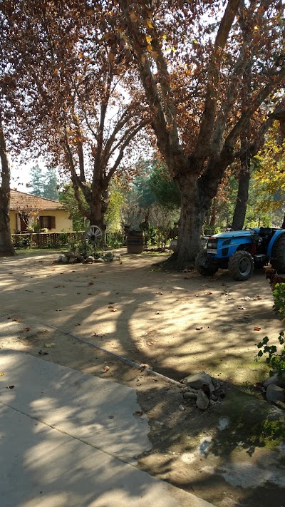 campground