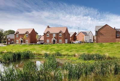 Hackwood Park, Miller Homes