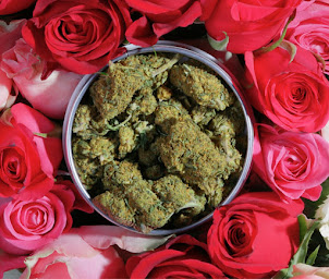 Photo n°28 de CBD Paris 10 - Le Chanvrier Francais - Canal St martin à Paris (Centre anti-douleur)