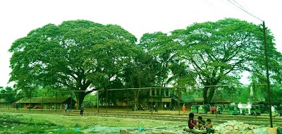 Photos of Dohazari Rail Station