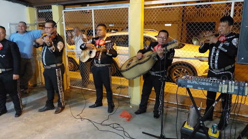 Mariachi Internacional Rosa De México
