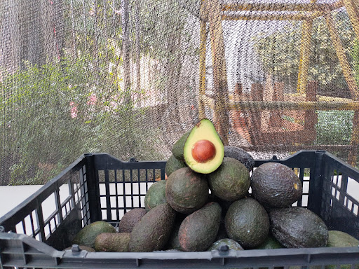 Frutería los Rosales - Thumbnail