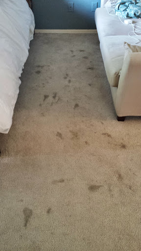 Kevin's Carpet Care - Thumbnail