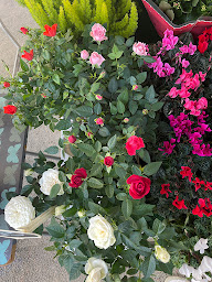 Photo n°8 de Sylvie Mori à Ajaccio (Fleuriste)