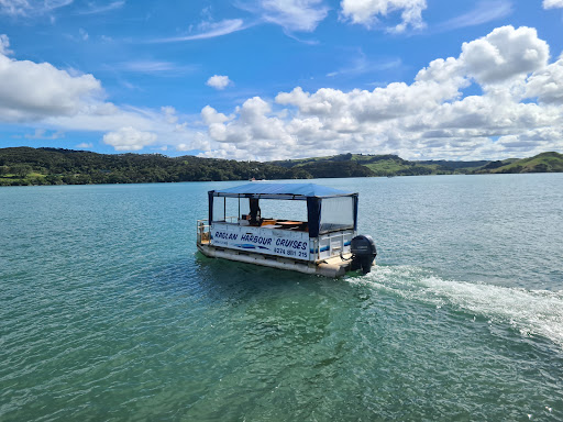 Raglan Harbour Cruises - Thumbnail