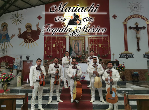 Mariachis en Tepepan CDMX-Mariachis en Tlalpan CDMX