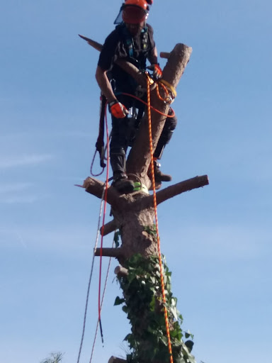 Txushuertos - Visual
