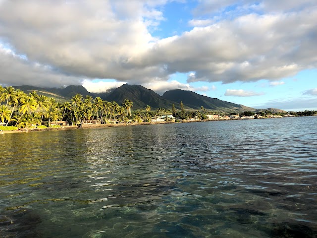 Baby Beach Lahaina
