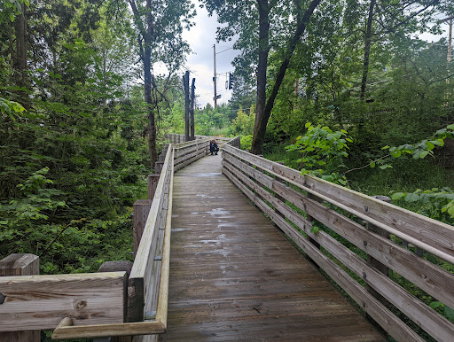 Cedar Mill Falls - Visual