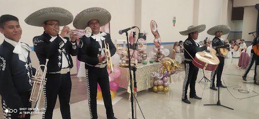 Mariachi Mexicanisimo De San Juan Zitlaltepec