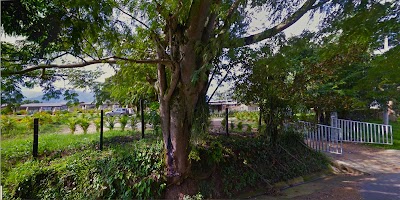Photos of Calucayma