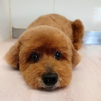 ペットサロン エマール