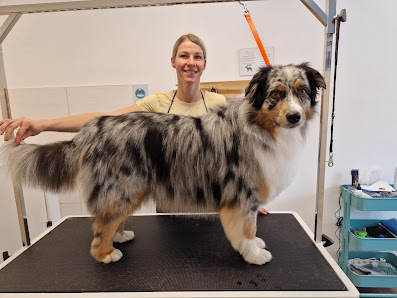 Charly´s Hundebox - Hundefrisör Hauptpl. 51, 8952 Irdning, Österreich