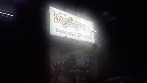 Dunosusa Carrillo Puerto 5 - Thumbnail