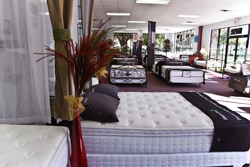 Bedding Plus - Visual