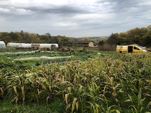 Photo n°4 de Les Jardins du Vernay à Saint-Maurice-de-Satonnay (Ferme bio)