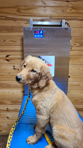 Animal's Choice Veterinary Clinic - Thumbnail