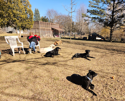 Clinton Dog Park - Thumbnail